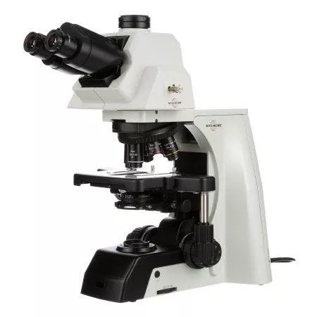Accu-Scope Inc Accu-Scope EXC-500 Series Compound Microscope Ergonomic Binocular Head NIS Infinity Corrected Plan 4X, 10X, 40X, 100XR Oil 110 to 240V Hard Coat Mechanical Stage - M-1090476-3028 | Each