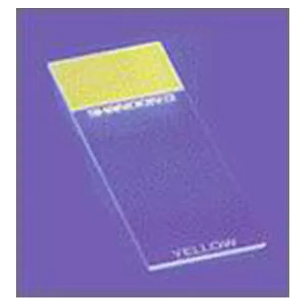 Anatomy Pathology ColorFrost Plus Chem Rstnt Microscope Slide 25x75 Blu 100/Ca