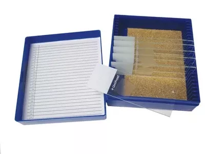 Azer Scientific Histology Control Slide Trichrome Tissue 11 Slides - M-1036446-3716 | Pack of 1