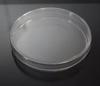 Azer Scientific Petri Dish Polystyrene - M-820528-4702 | Case of 500
