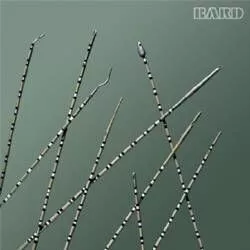 Bard Medical Division Catheter 10Fr Cone Tip EA