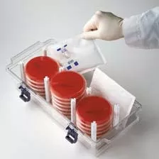 BD Anaerobe Sachet BD GasPak EZ 20 Sachets GasPak EZ Gas Generating Systems - M-761280-1056 | Pack of 20
