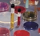 BD Prepared Media BD BBL Mycoflask Urea Agar, Complete (Christensen) Slant Tube Format - M-29174-4017 | Pack of 10