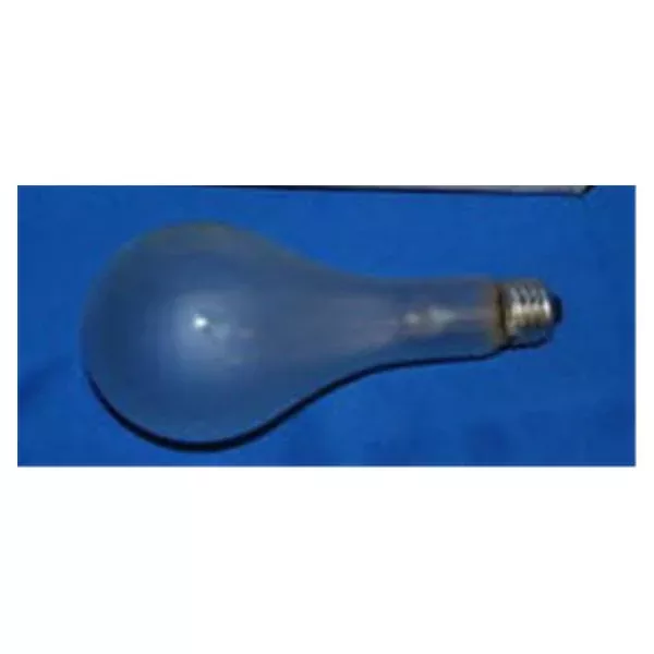 Bulbtronics Bulb Hot Lamp 115-120Volt 500Watt Ea Ea