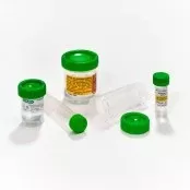 Caplugs Vial Histoware™ Histology Polyethylene 60 mL (2 oz.) - M-1035996-4092 - Case of 500