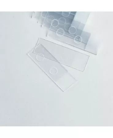 Cardinal Microscope Slide 25 X 75 X 1 mm Frosted End - M-1032193-902 - GR/144