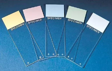 Cardinal Microscope Slide SP Colorfrost Plus 25 X 75 X 1 mm Blue Frosted End - M-323144-4119 - Case of 1440