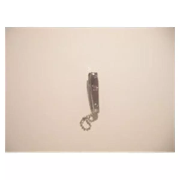 Chanby Clipper Fingernail 2" Ea, 60 EA/PK (3073BULK)