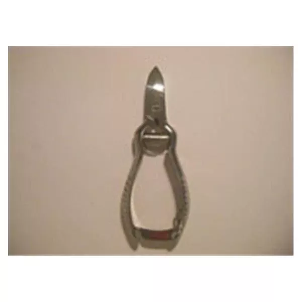 Chanby Clipper Nail 4-1/2" Coil Spring Ea