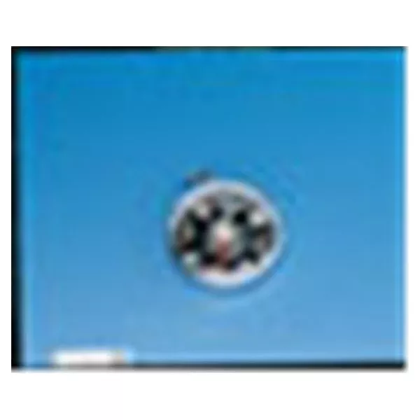 Compass Industries Compass Magnetic Large Letters 35mm 12/Pk 12/Pk