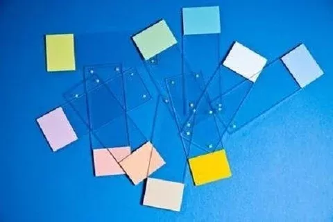 Erie Scientific Microscope Slide Colorfrost Plus 25 X 75 X 1 mm Lilac End - M-1008528-4330 - Case of 1440