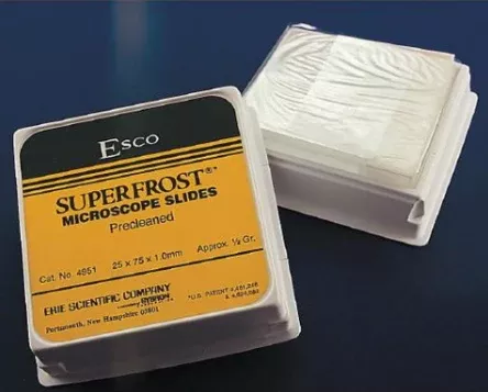 Erie Scientific Microscope Slide Superfrost 25 X 75 X 1.2 mm Frosted End - M-926549-3858 - Case of 1440