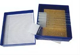Fisher Anatomical Control Slide Amyloid Tissue - M-1000045-453 - Pack of 11