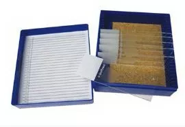 Fisher Anatomical Control Slide Elastic Tissue - M-1000046-3166 - Pack of 11