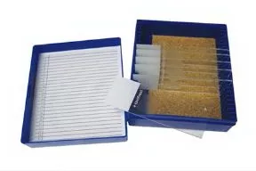 Fisher Anatomical Control Slide Glycogen Tissue - M-1000049-4551 - Pack of 11
