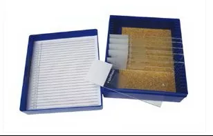 Fisher Anatomical Control Slide Gram Organism Tissue - M-1000050-1101 - Pack of 11