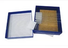Fisher Anatomical Control Slide Mucicarmine Tissue - M-1000053-366 - Pack of 11