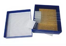 Fisher Anatomical Control Slide Pneumocystis Tissue - M-1000043-2208 - Pack of 11