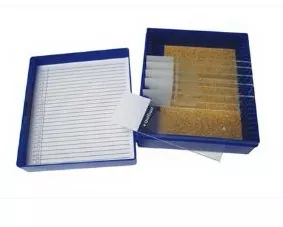 Fisher Anatomical Control Slide Reticulum Tissue - M-1000055-3162 - Pack of 11