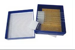 Fisher Anatomical General Chemistry Control Slide Iron Tissue - M-1000051-1336 - Pack of 11