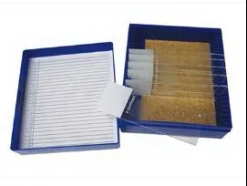 Fisher Anatomical Gram Stain Control Slide Fungi - M-1000048-2006 - Pack of 11