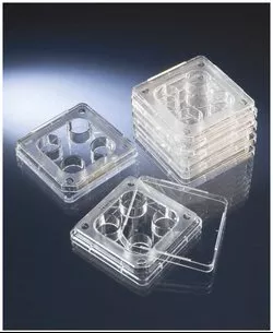 Fisher Scientific 4-Well IVF Dish Nunc™ Polystyrene - M-1053929-4553 - Case of 120