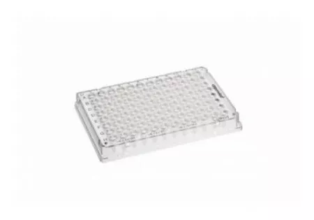 Fisher Scientific 96-Well Microplate Eppendorf™ twin.tec™ - M-1058386-2208 - Pack of 25