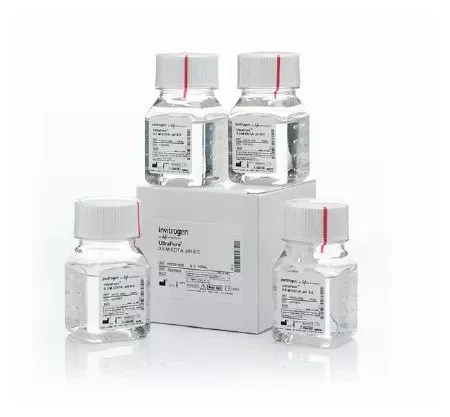 Fisher Scientific Biochemical Invitrogen™ UltraPure™ EDTA (Disodium) Molecular Biology Grade 0.5 M / pH 8.0 4 X 100 mL - M-1074076-3597 - Case of 4
