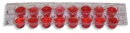 Fisher Scientific Blood Based Cancer Diagnostics Edvotek™ - M-989398-3921 - Each