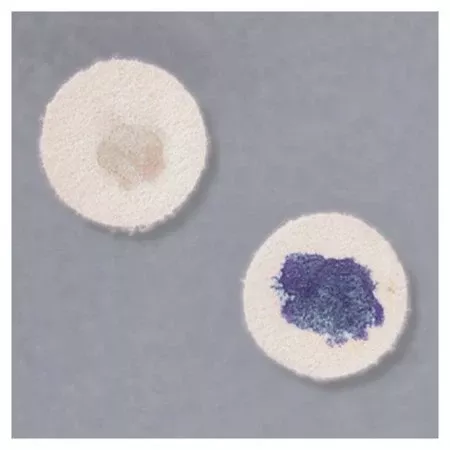 Fisher Scientific Differentiation Disc Remel Microdase - M-923086-4268 | Box of 25