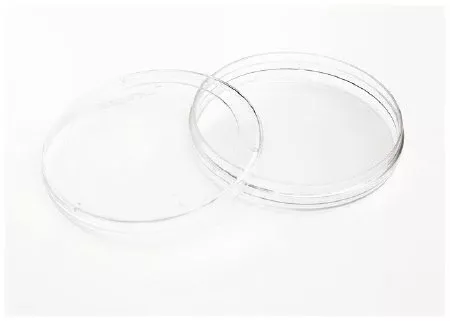 Fisher Scientific DISH, NUNC IVF ICSI (120/CS) - M-993265-1584 - Case of 120