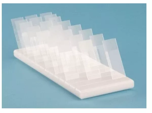 Fisher Scientific Draining Tray - M-1043548-760 - Each