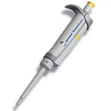 Fisher Scientific Eppendorf Research Plus Fixed Volume Pipette 50 µL Without Graduations NonSterile - M-972842-158 - Each