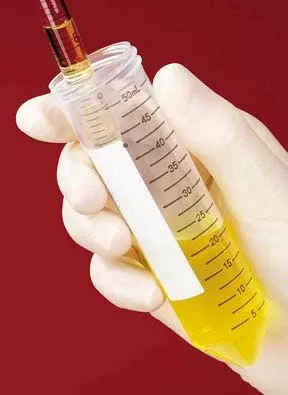 Fisher Scientific Fisherbrand™ Easy Reader Centrifuge Tube Conical Bottom Plain 28 X 115 mm 50 mL Without Color Coding Plug Seal Cap Polypropylene Tube - M-841916-4258 - Case of 500