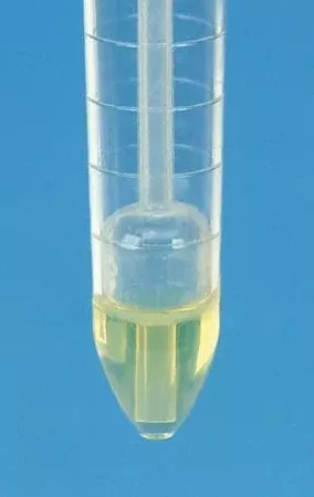 Fisher Scientific Fisherbrand™ Urinalysis Tube Conical Bottom Plain 15 mL Without Color Coding Without Closure Polystyrene Tube - M-642590-483 - Case of 1