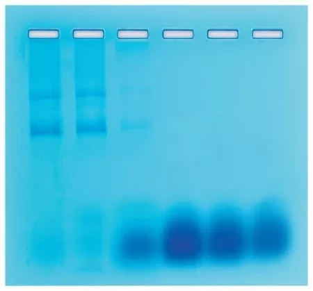 Fisher Scientific Gel Filtration Chromatography Educational Kit Edvotek™ - M-989404-3211 - Each