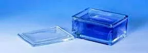 Fisher Scientific Handle 20-Slide Glass Staining Dish - M-691518-4773 - Case of 6