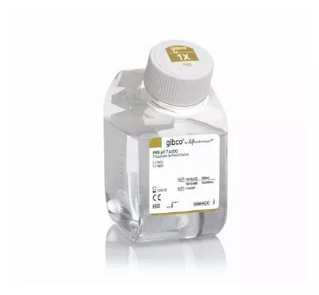 Fisher Scientific Histology Reagent Gibco Phosphate Buffered Saline (PBS) 1X / pH 7.4 10 X 500 mL - M-974818-2626 - Case of 10