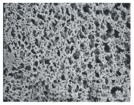 Fisher Scientific Membrane Filter 47 mm OD, 5 µm Pore Size, 5 psi Bubble Point, 34 Liter/min./cm sq. Gas Flow Rate, 360 mL/min./cm sq. Liquid Flow Rate, Hydrophilic, Autoclavable, Plain White Membrane - M-974470-330 - Pack of 100