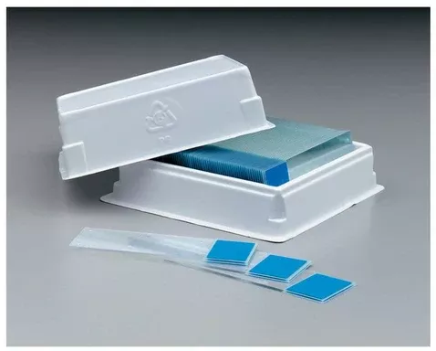 Fisher Scientific Microscope Slide 25 X 75 X 1 mm Blue End - M-918385-3696 - Box of 144