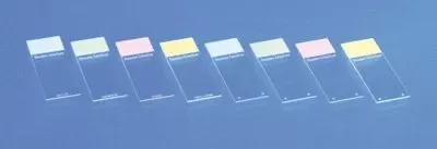Fisher Scientific Microscope Slide Shandon™ Colorfrost Plus Lavendar Frosted End - M-1019490-1610 - Case of 100