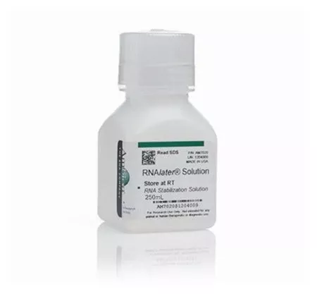 Fisher Scientific Molecular Biology Reagent Invitrogen™ RNAlater™ RNA Stabilizing Solution RNA Preparation / Purification 60 to 100% 100 mL - M-998006-1766 - Each