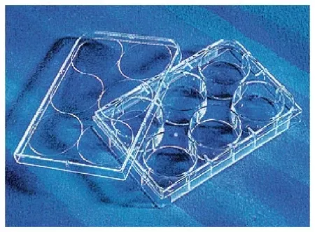Fisher Scientific Multiwell Cell Culture Dish CellBind™ Polystyrene - M-1010078-3193 - Case of 50
