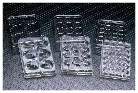 Fisher Scientific Multiwell Cell Culture Dish Thermo Scientific™ Nunc™ - M-1051516-2007 - Case of 50