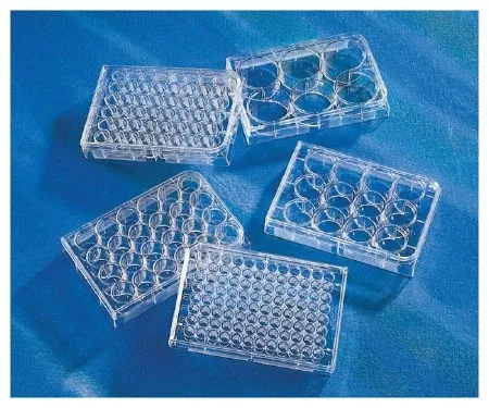 Fisher Scientific Multiwell Cell Culture Plate Costar™ Polystyrene - M-1074762-4726 - Case of 50