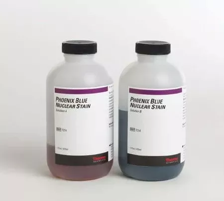 Fisher Scientific Nuclear Stain Kit Phoenix Blue™ Solution A: 2 X 170 mL, Solution B: 2 X 330 mL - M-665077-119 - Case of 4