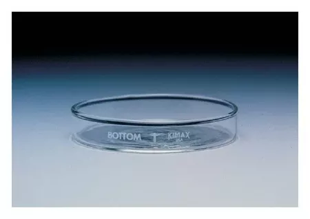 Fisher Scientific Petri Dish - M-833899-1368 - Case of 12