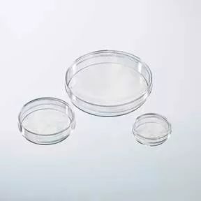 Fisher Scientific Petri Dish Nunc IVF Polystyrene - M-682613-1929 - Case of 400