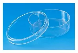Fisher Scientific Petri Dish Thermo Scientific™ Nunc™ - M-1048921-2887 - Case of 300