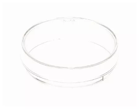 Fisher Scientific Petri Dish Thermo Scientific™ Nunc™ Polystyrene - M-885849-3105 - Case of 400